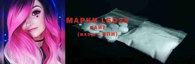 ECSTASY Горняк