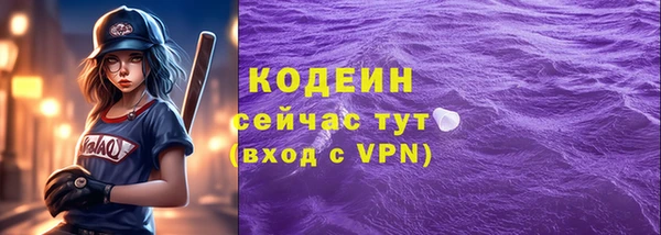 apvp Горнозаводск