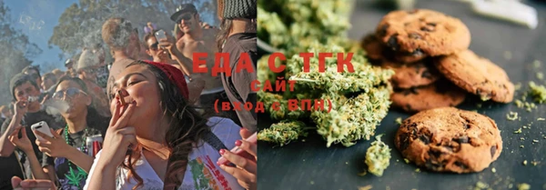 ECSTASY Горняк