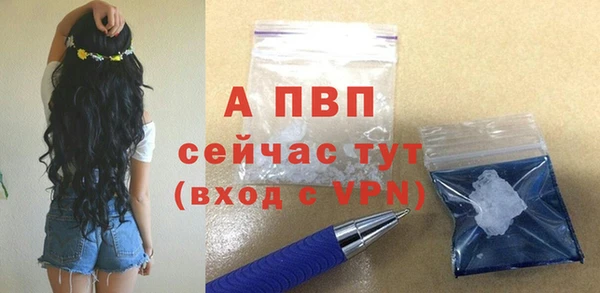 ECSTASY Горняк