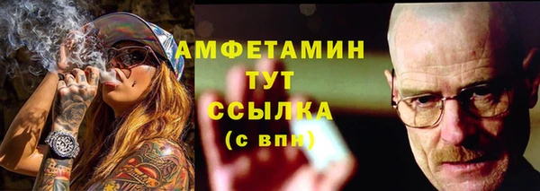 ECSTASY Горняк