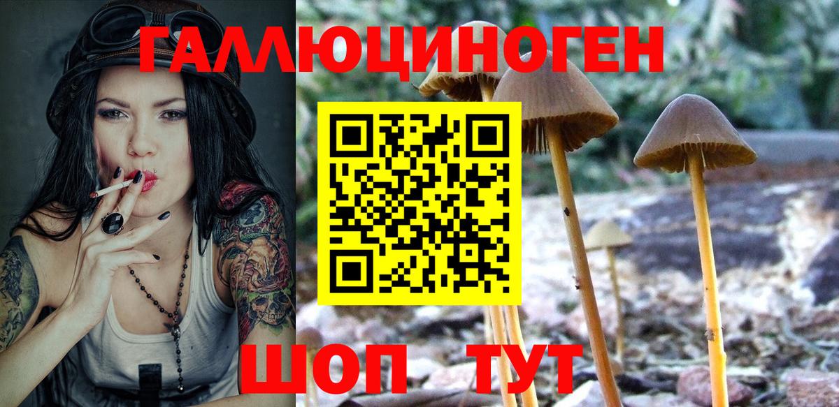 Псилоцибиновые грибы Cubensis  Галлюциногенные грибы Psilocybine cubensis  Вход с VPN  Соликамск 