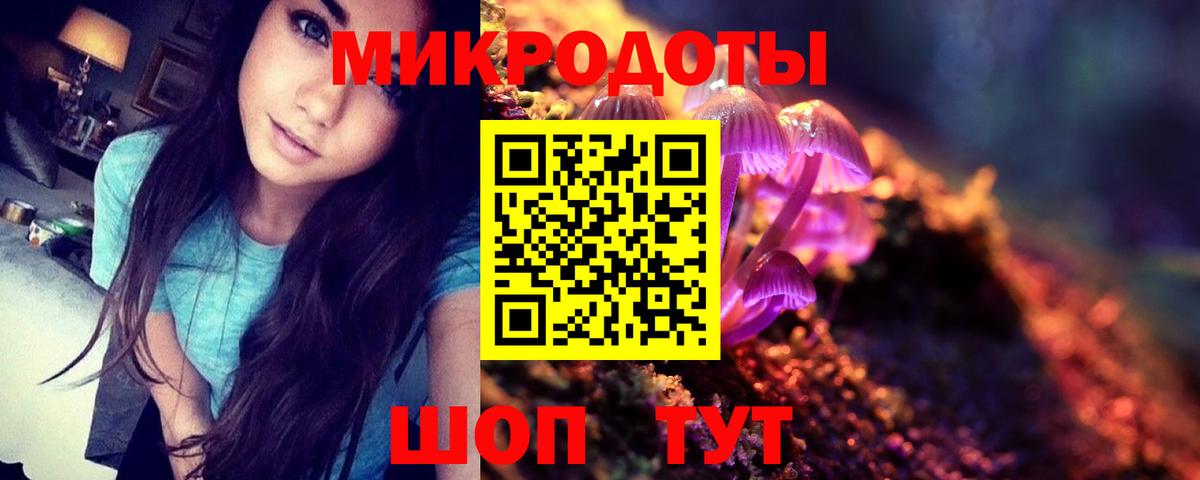 Псилоцибиновые грибы Psilocybe Соликамск